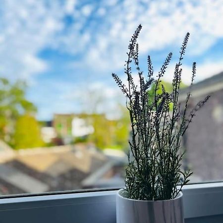 Charmant Petit Appartement. لييج المظهر الخارجي الصورة