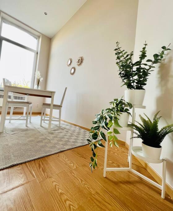 Charmant Petit Appartement. لييج المظهر الخارجي الصورة